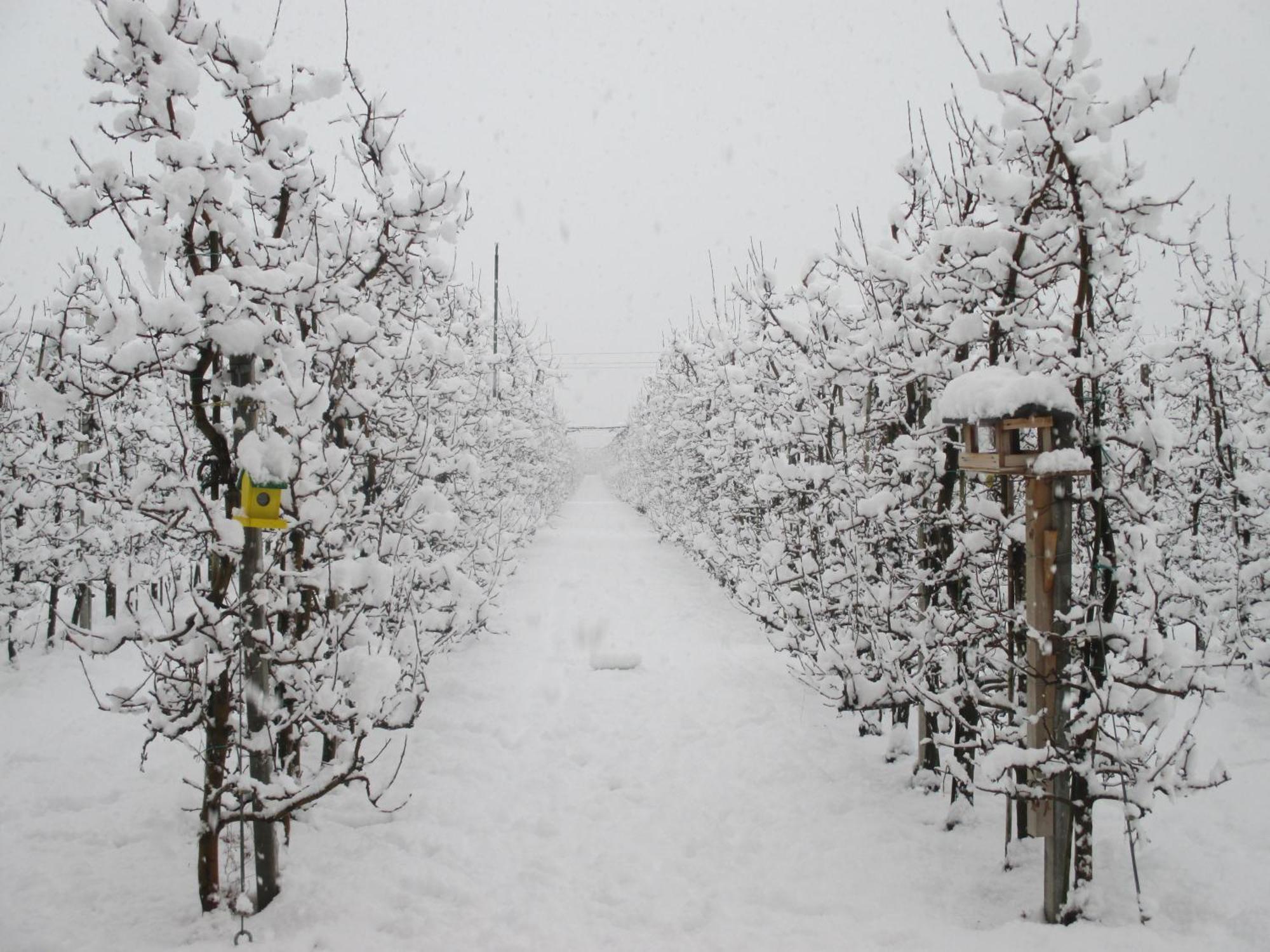 Appartamento Garnhof Coldrano Esterno foto