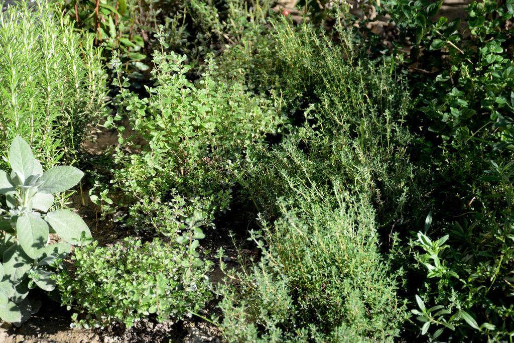 Appartamento Garnhof Coldrano Esterno foto