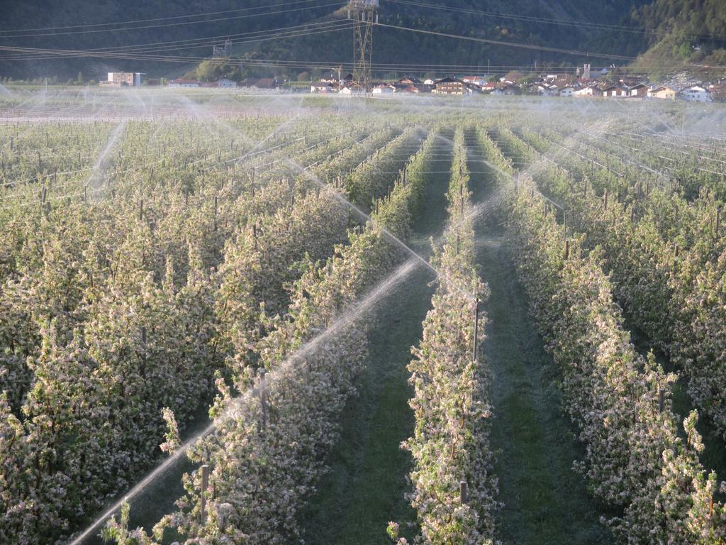 Appartamento Garnhof Coldrano Esterno foto